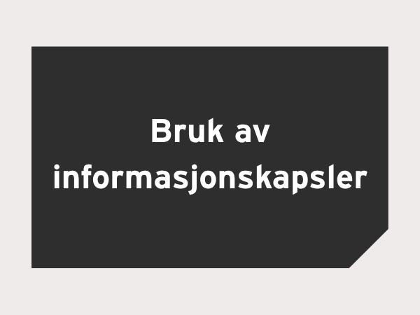 Bruk av informasjonskapsler
