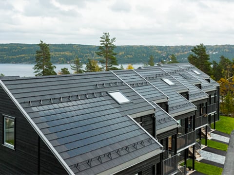 Takstein fra Skarpnes