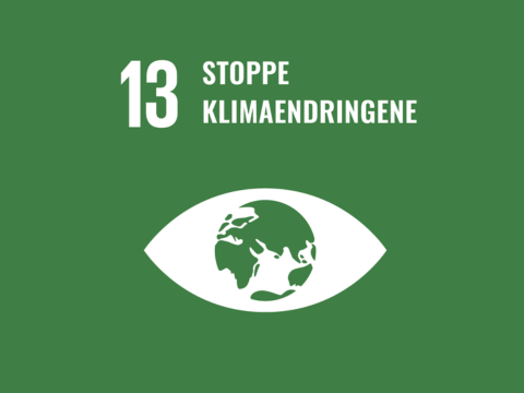 Stoppe klimaendringene