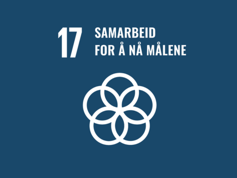 Samarbeid for å nå målene