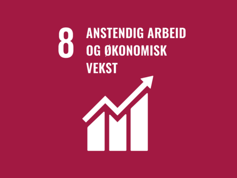 Anstendig arbeid og økonomisk vekst