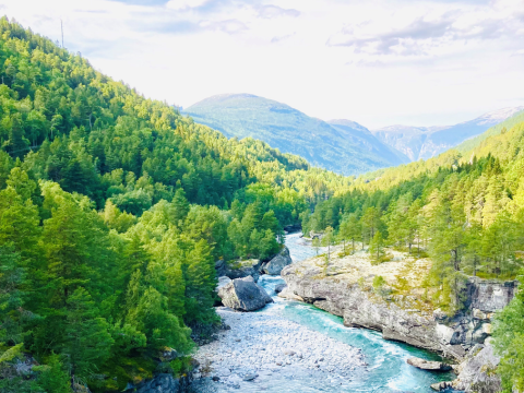 Miljø og bærekraft